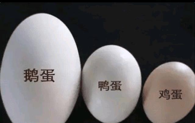 641