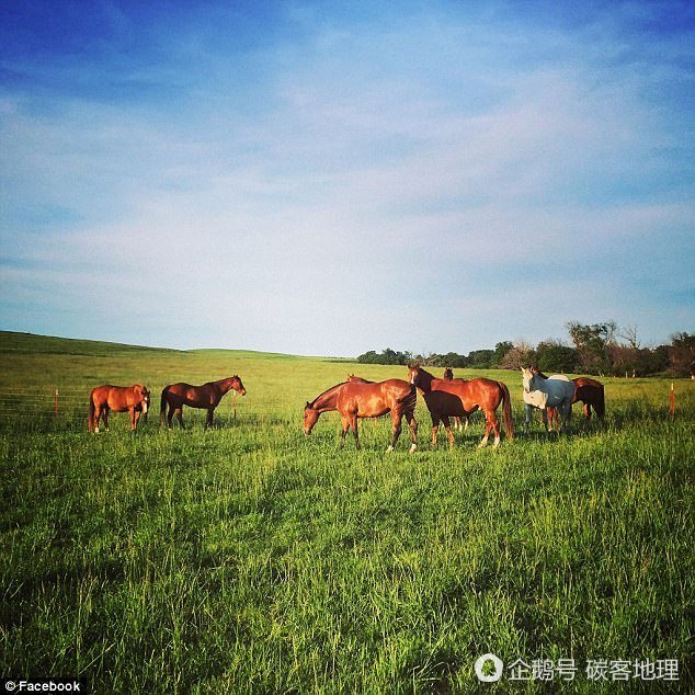 在美国当地主有多爽?10年收入1.58亿,生活幸福