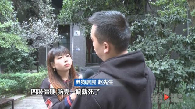 呕吐、抽搐、撞墙!一小区数十只狗离奇死亡