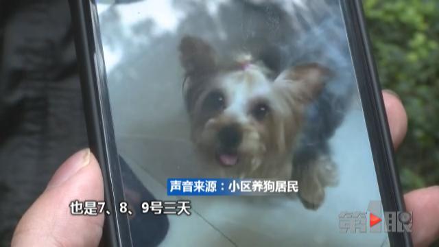 呕吐、抽搐、撞墙!一小区数十只狗离奇死亡