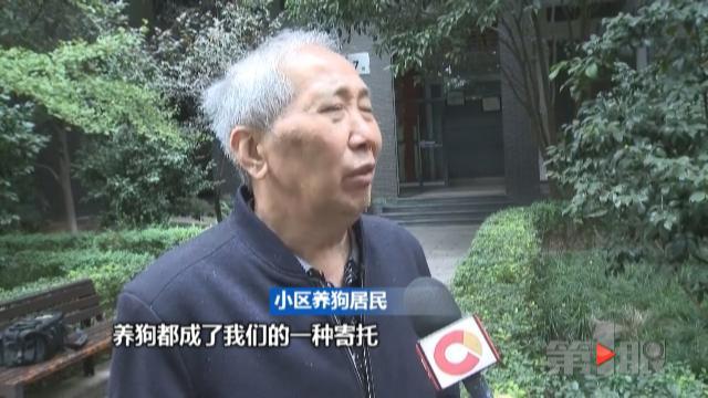 呕吐、抽搐、撞墙!一小区数十只狗离奇死亡