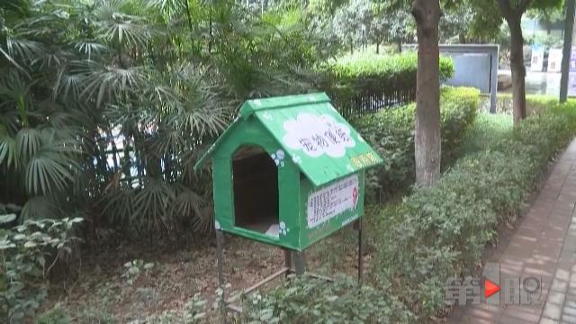 呕吐、抽搐、撞墙!一小区数十只狗离奇死亡