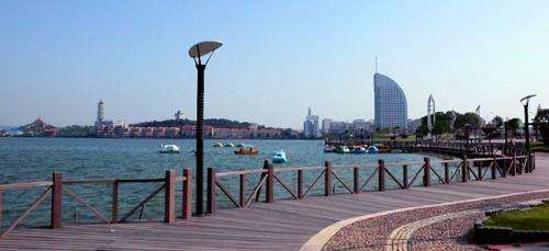 这个全国大会都表彰了鄂州哪些人和单位?