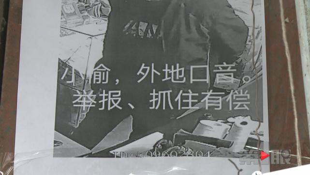 这家小店真奇怪 客人不多小偷却特别多