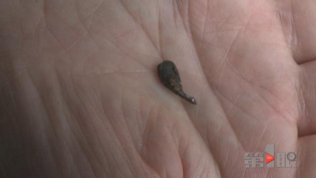 女子购牛肉粒 一口下去竟吃到铁钉