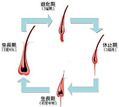 网络新闻联播
