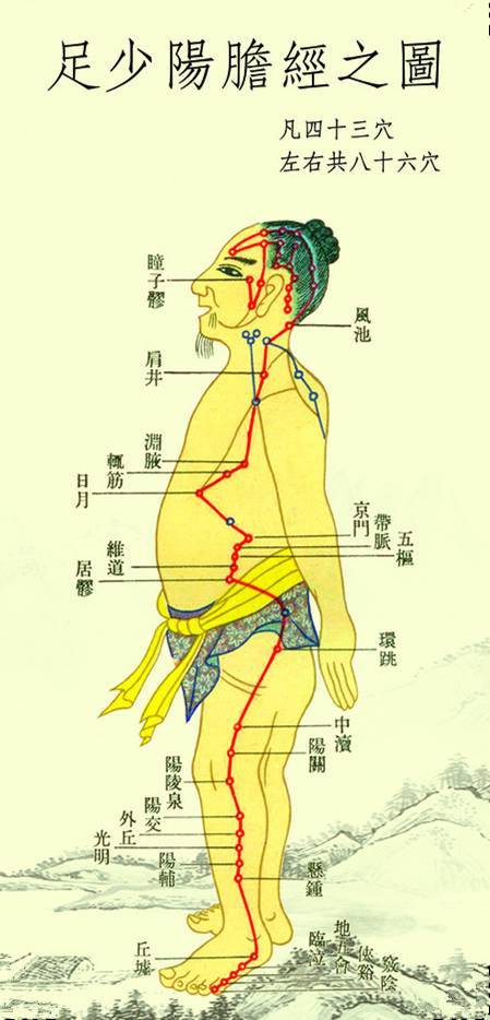 凡十一脏取决于胆也敲胆经生阳气补气血扶正气