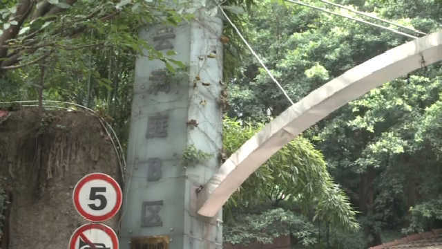 小区内惊现涂鸦不堪入目 皆因要换新物管？