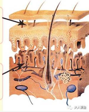 《如懿传》未P剧照流出,周迅的皮肤居然没有霍