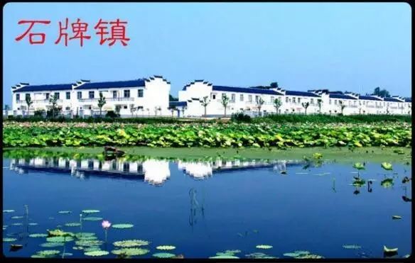 东临汉江,西与荆门市东宝区接壤,南与沙洋县毗邻,北与钟祥市文集镇