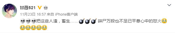虐童事件升级！章子怡李冰冰等十余位明星发声谴责（组图） - 8