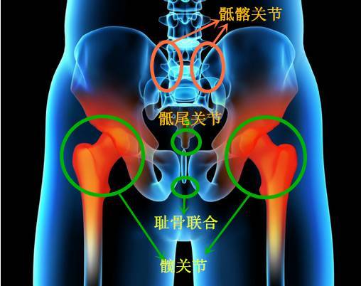 传拳不传胯胯在哪里怎样开胯