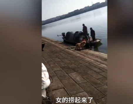 怀化一金毛和男主跳水救女主 女主得救男主溺