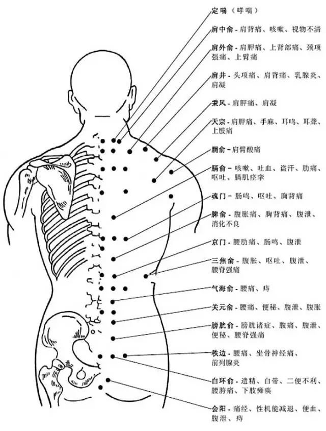 人体穴位全息图和反射图人体按摩穴位示意图(女)end彩