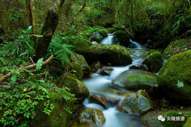 去哪里拍抖音能火!夏一站我在株洲神农谷等你