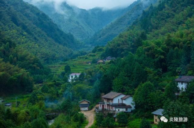 去哪里拍抖音能火!夏一站我在株洲神农谷等你