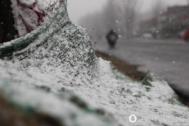 河北那些天圆下雪啦 您那下了吗