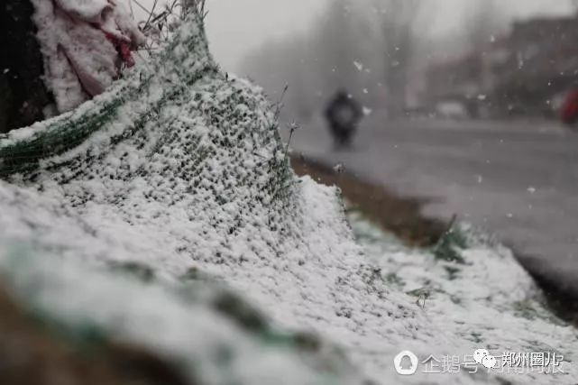 降温刮风下雨下雪齐袭河南,最低气温-1°c!郑州的雪下