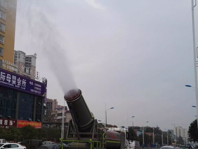 酷炫!邵阳街头现豌豆射手 你见过吗