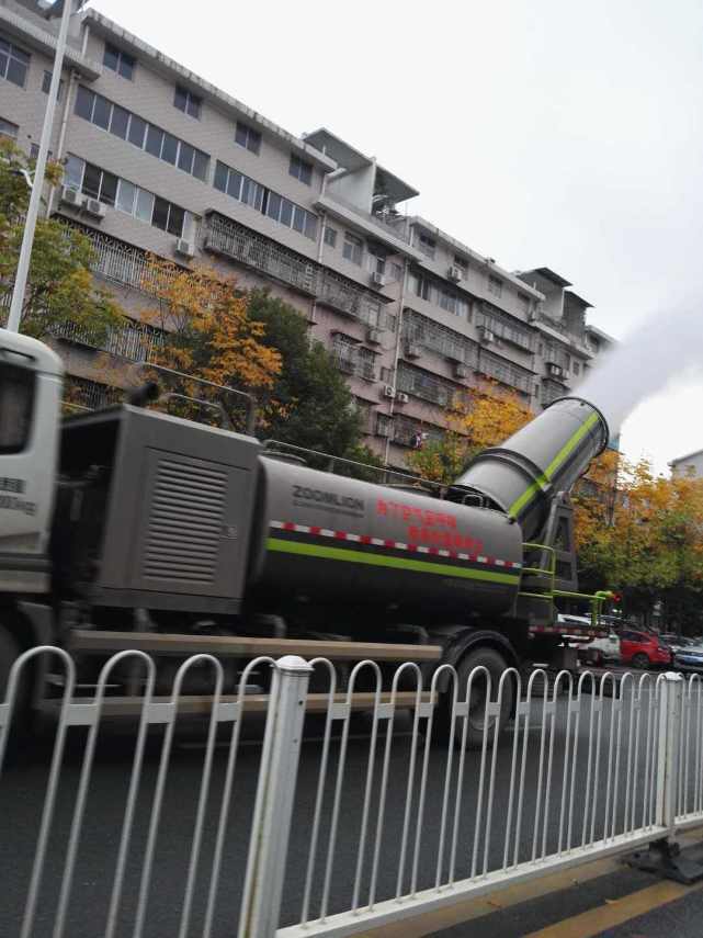 酷炫!邵阳街头现豌豆射手 你见过吗