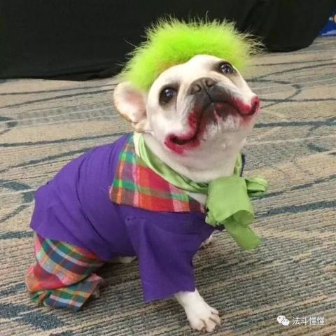 640