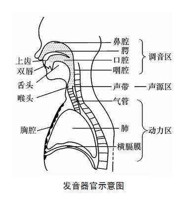 唱歌怎么安放喉头一看就懂的精品小文