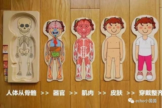 开团│5层身体木质拼图,教宝宝认识身体结构,保护自己