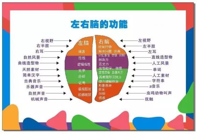 烧脑·有趣·益智·过瘾 法国左右脑思维游戏书 轻松开发智力