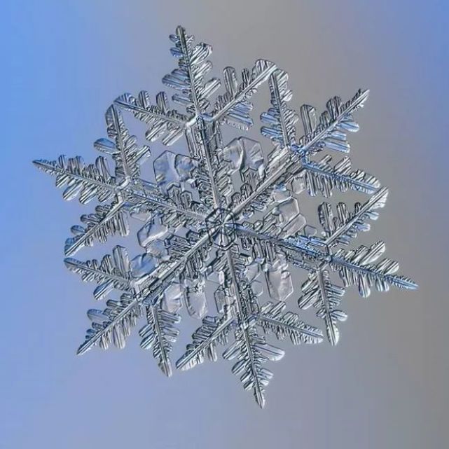 雪花原来这么千姿百态