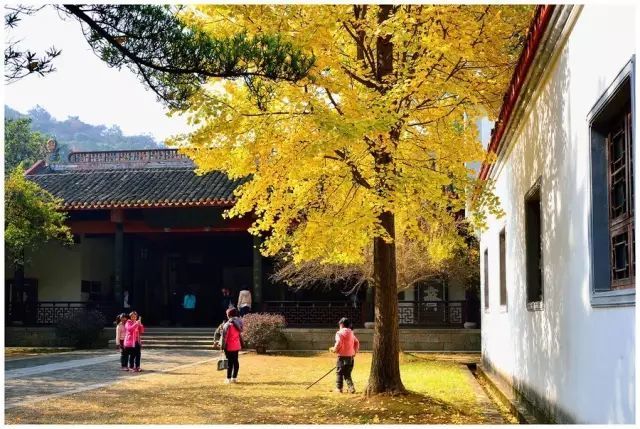 中国四大书院究竟是指哪四个,你知道几个?