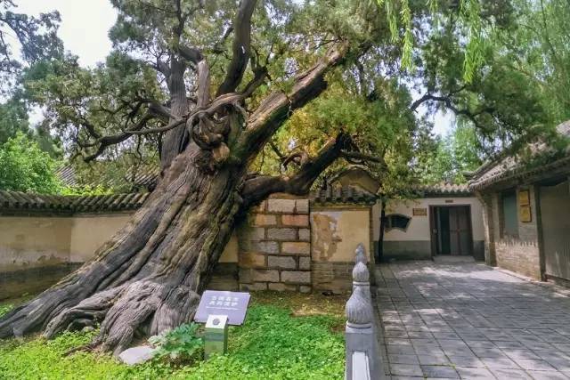 中国四大书院究竟是指哪四个,你知道几个?