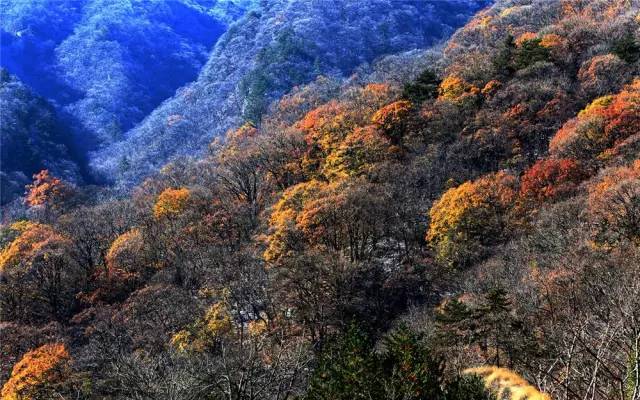 大美马鬃岭 缤纷四季