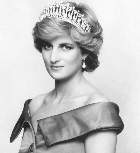 威廉王子与哈里王子征选雕塑家为母亲黛安娜王妃立塑像