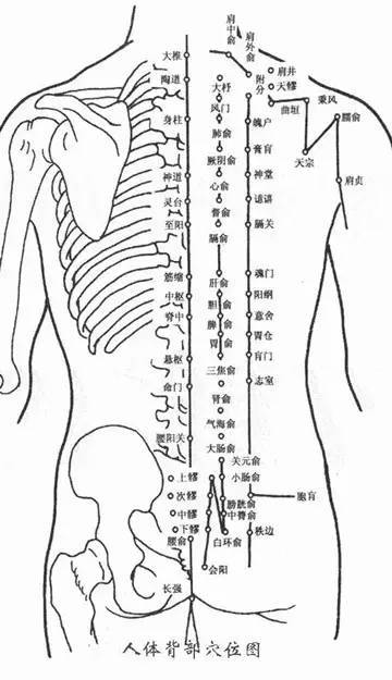 背部出痧各种症状可以看出一个人的身体健康状况