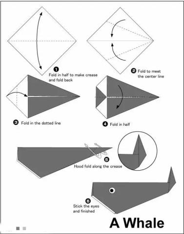 折纸鲸鱼   适用于动物主题或海洋的主题.