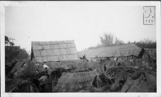 耶鲁大学神学院南京大屠杀照片首度公开：死难者尸体填满水塘 尸横遍野！ - 15