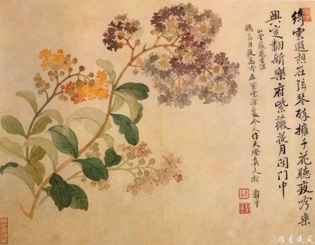 恽寿平最美的235幅没骨花鸟画!