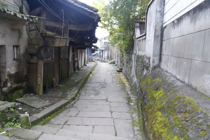 李渡的老街,采用适合居住的设计,两边都是房屋,中间只有一条不宽不窄