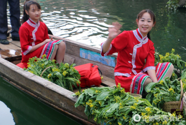 清遠(yuǎn)服裝怪異女子用菜心密挑戰(zhàn)維密