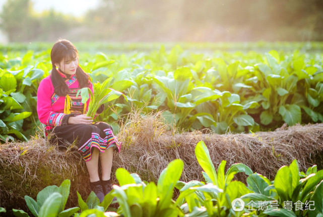 清遠(yuǎn)服裝怪異女子用菜心密挑戰(zhàn)維密