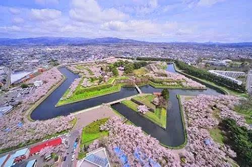 2019年日本樱花最前线,这篇就够了!小众+浪漫