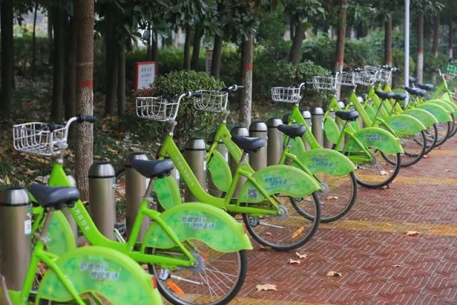 3天时间，许昌49个小绿站点“遭人毒手”
