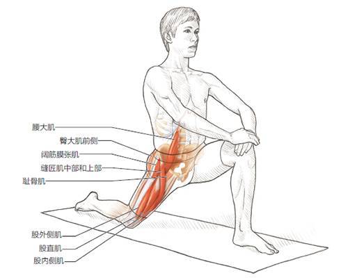 干货┃跑步后的拉伸