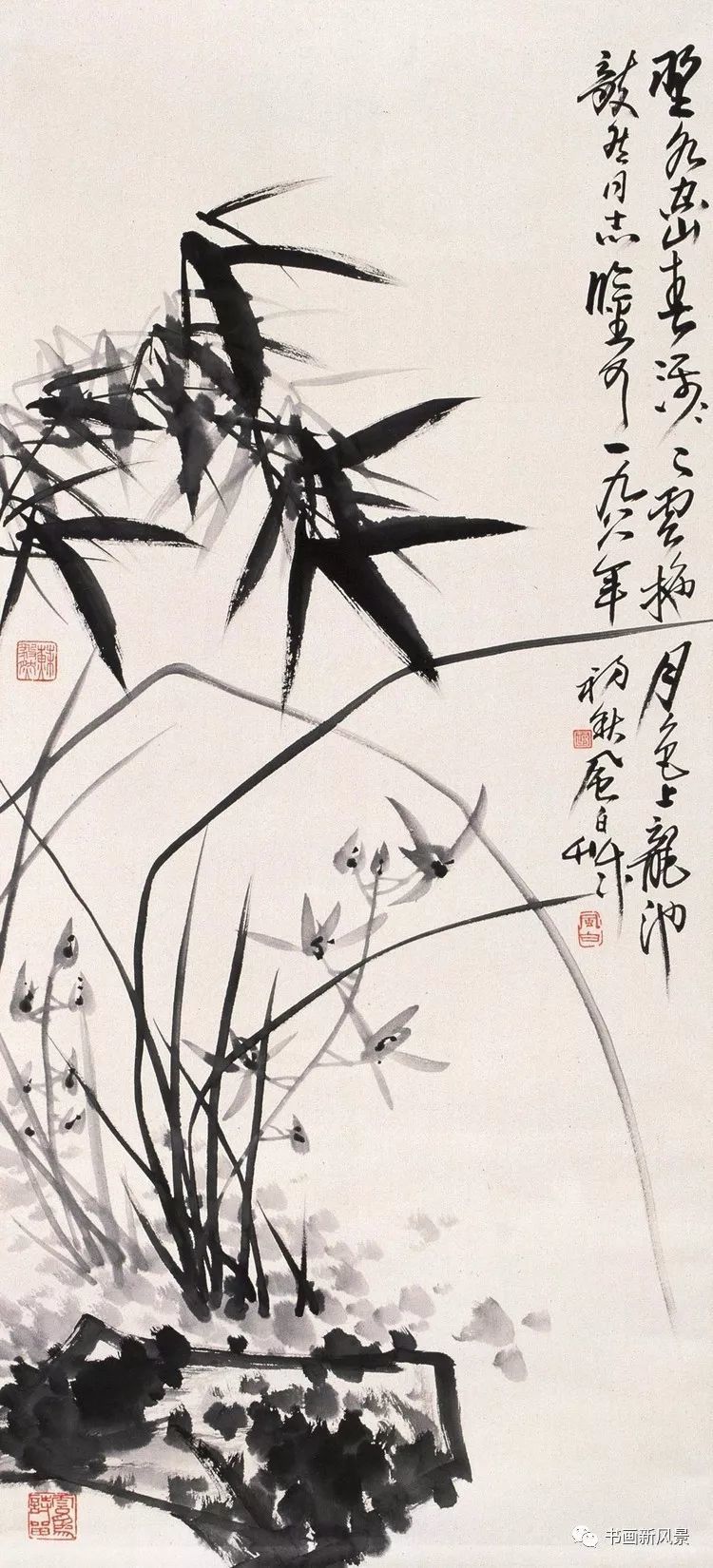 蒋风白 兰花水仙