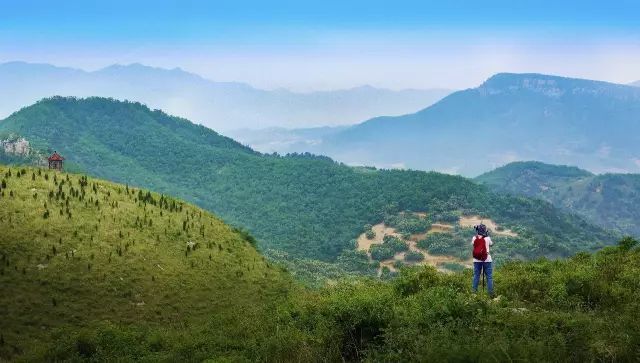 临朐九山,美丽乡村有大景观