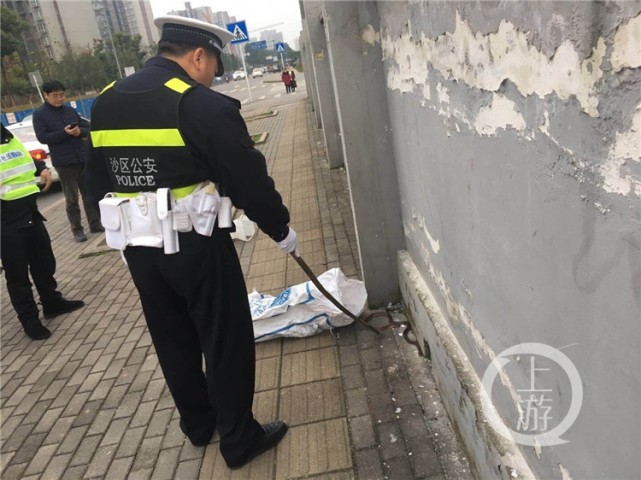 重庆一小学附近惊现2米长蛇 孩子问蛇不是冬眠了吗？