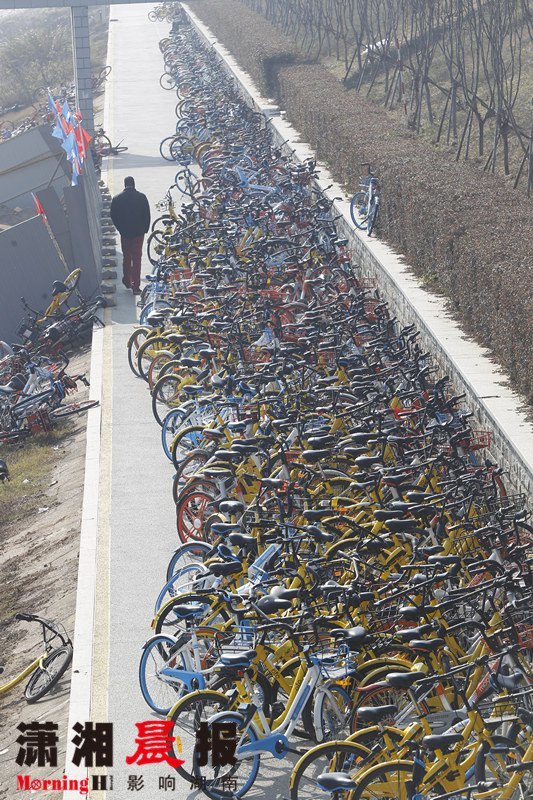 长沙湘江风光带成停车场 共享自行车 成灾 堆积