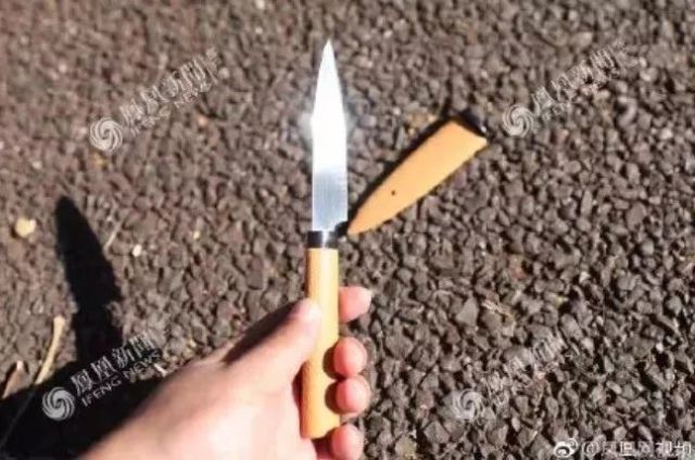 陈世峰判刑20年引起一片哗然!日本判死刑为什