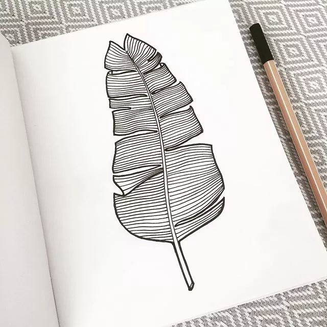 好美的手绘,掌握它对于你的线条帮助很大!