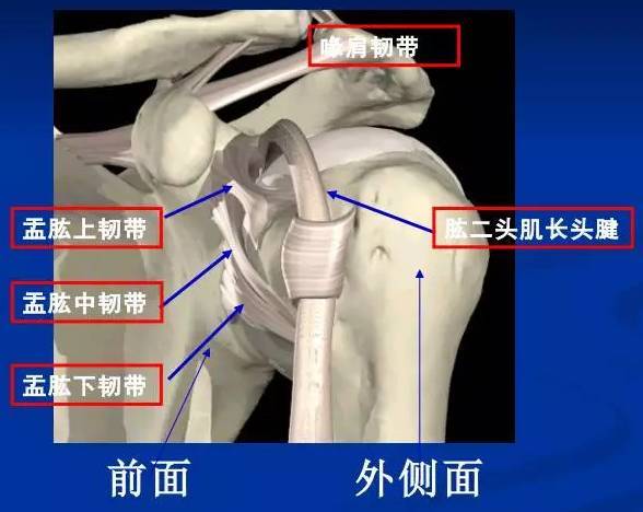 肩袖损伤诊治了那么多,看完这篇你肯定还会有收获!